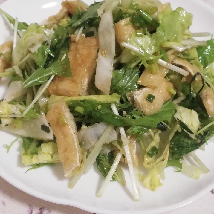 簡単ビタミン補給 水菜レタス油揚げの和風ごまサラダ レシピ 作り方 By かっぺ4217 楽天レシピ 簡単ビタミン補給 水菜レタス油揚げの和風ごまサラダ レシピ 作り方 By かっぺ4217 楽天レシピ